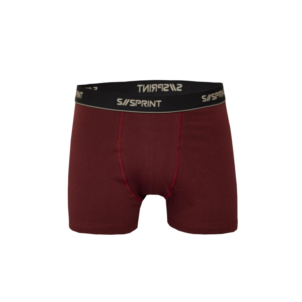 Boxer x3