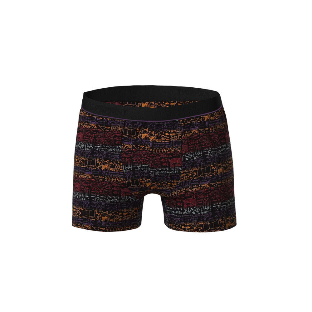 Boxer