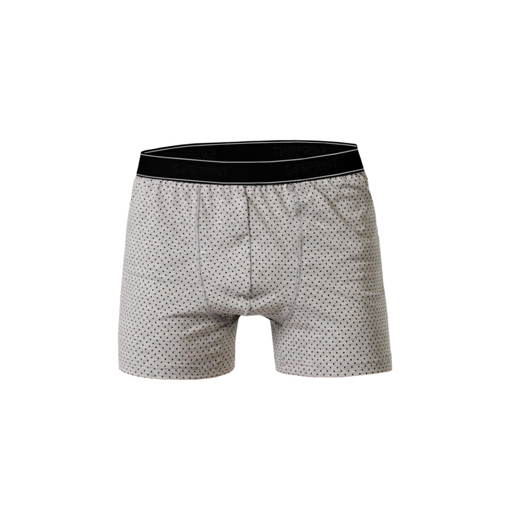 Boxer x9