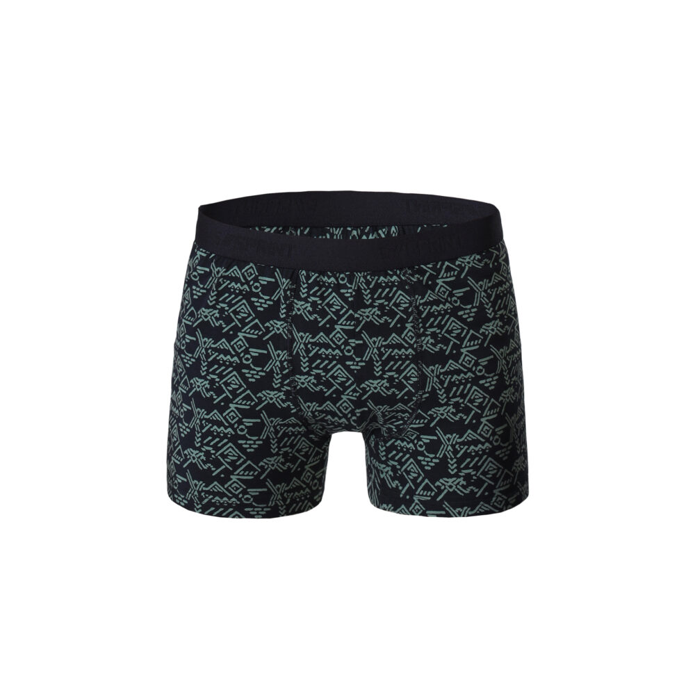 Boxer x3
