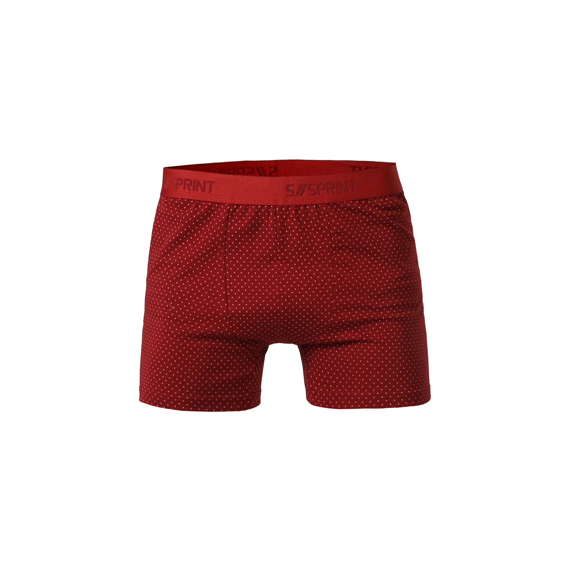 Boxer x3